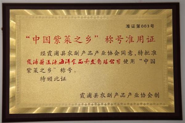 公司榮譽(yù)