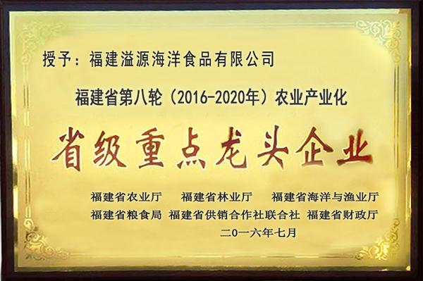 公司榮譽(yù)